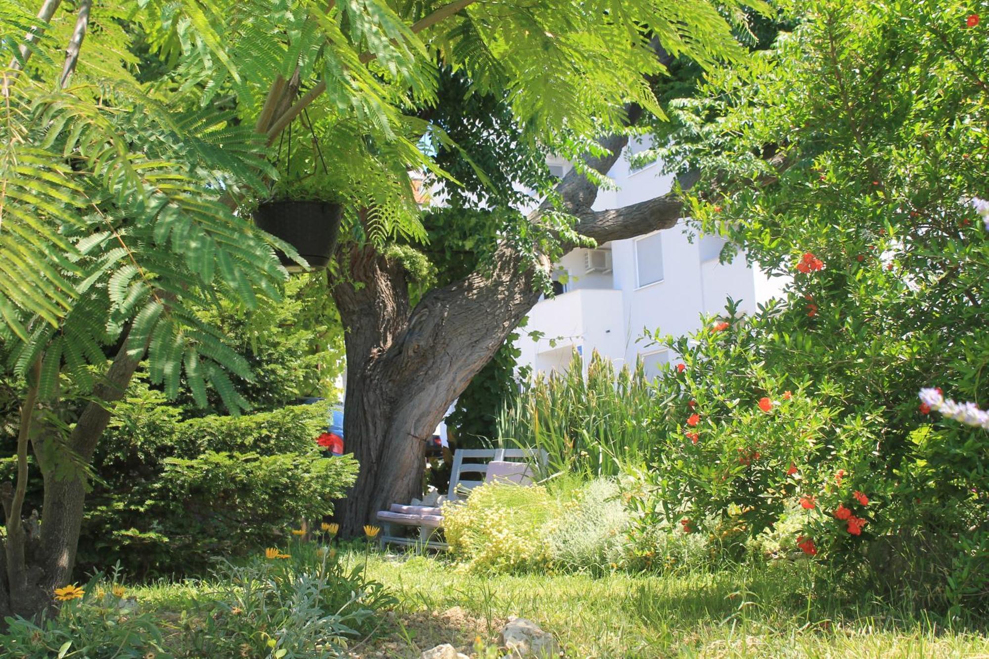 Apartments 501 - Rab Island Oasis Retreat Supetarska Draga Eksteriør billede