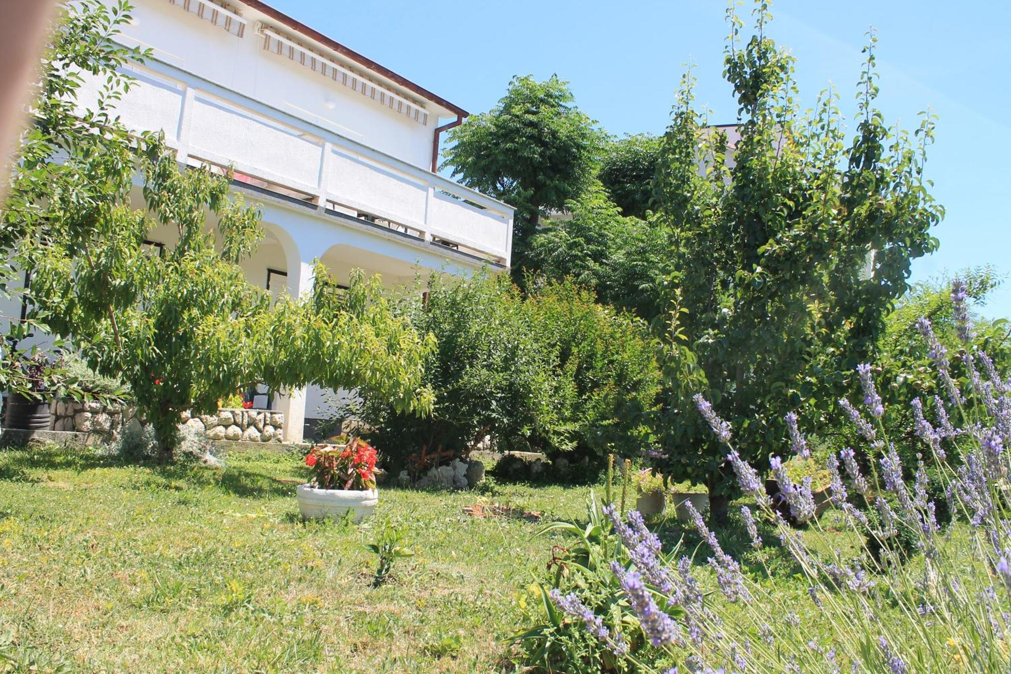 Apartments 501 - Rab Island Oasis Retreat Supetarska Draga Eksteriør billede