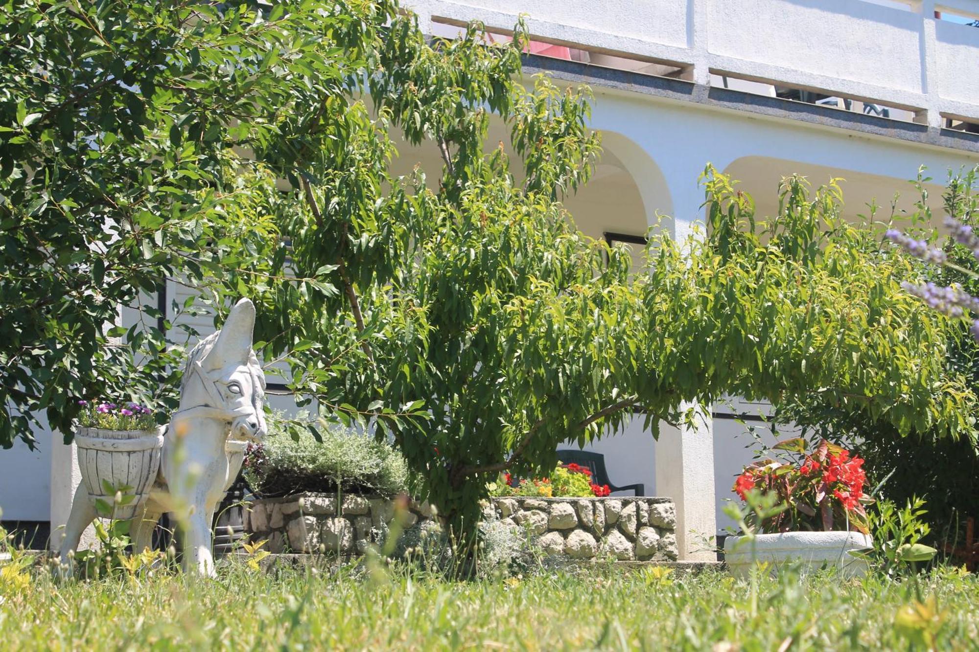 Apartments 501 - Rab Island Oasis Retreat Supetarska Draga Eksteriør billede